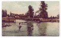 Swimming at Matheson's Bridge, the extention of Peter Street, to the Matheson Farm, which eventually became the Links' O Tay Golf Course.